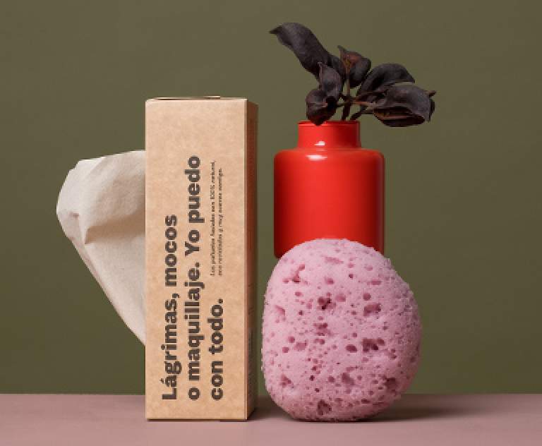 Composition of a pink sponge, reda vase and a package of tissues